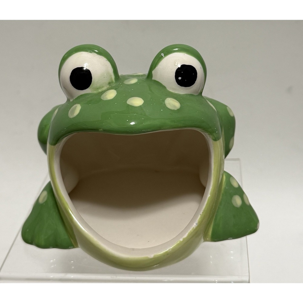 VTG 2001 Ceramic Frog Sponge Holder Boston Warehouse Trading Corp